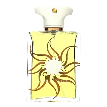 Amouage Sunshine Man парфюмерная вода, 100 мл тестер Amouage Sunshine Man парфюмерная вода, 100 мл тестер