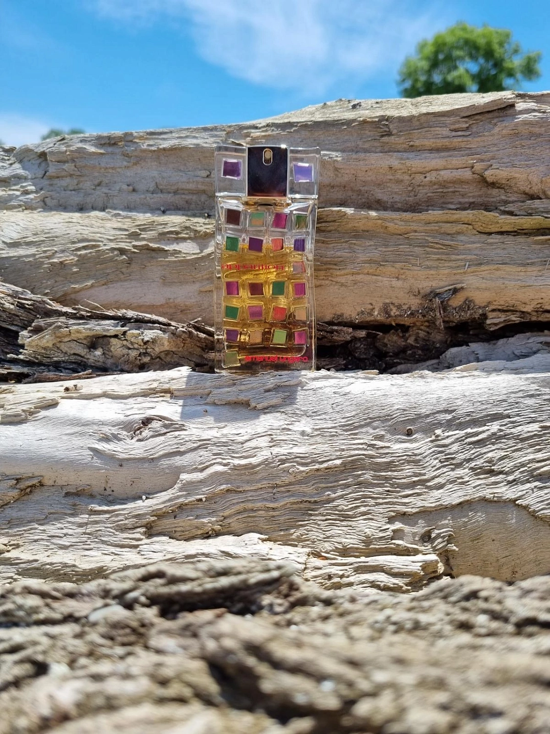 Emanuel Ungaro Apparition