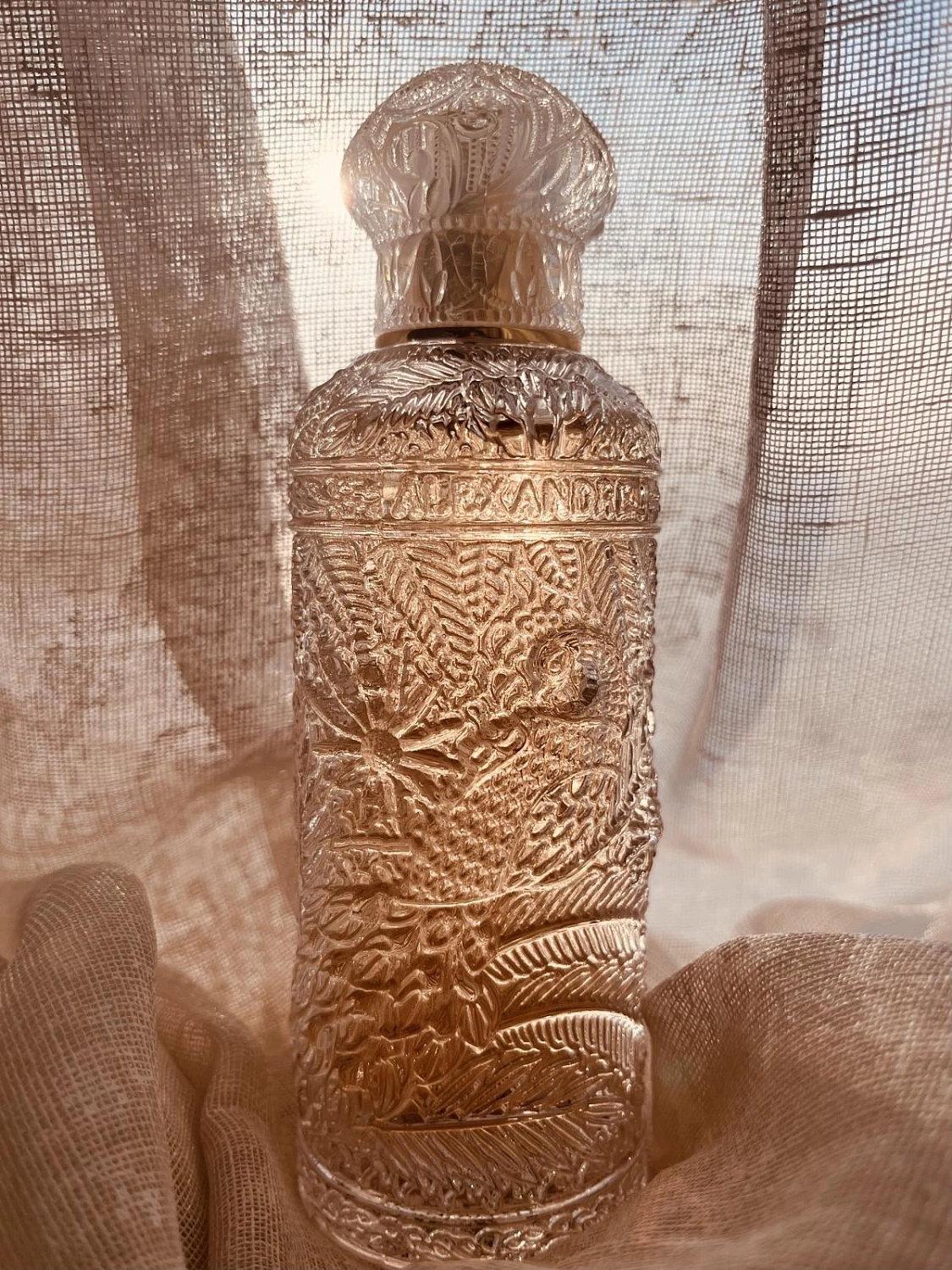 Alexandre J Imperial Peacock