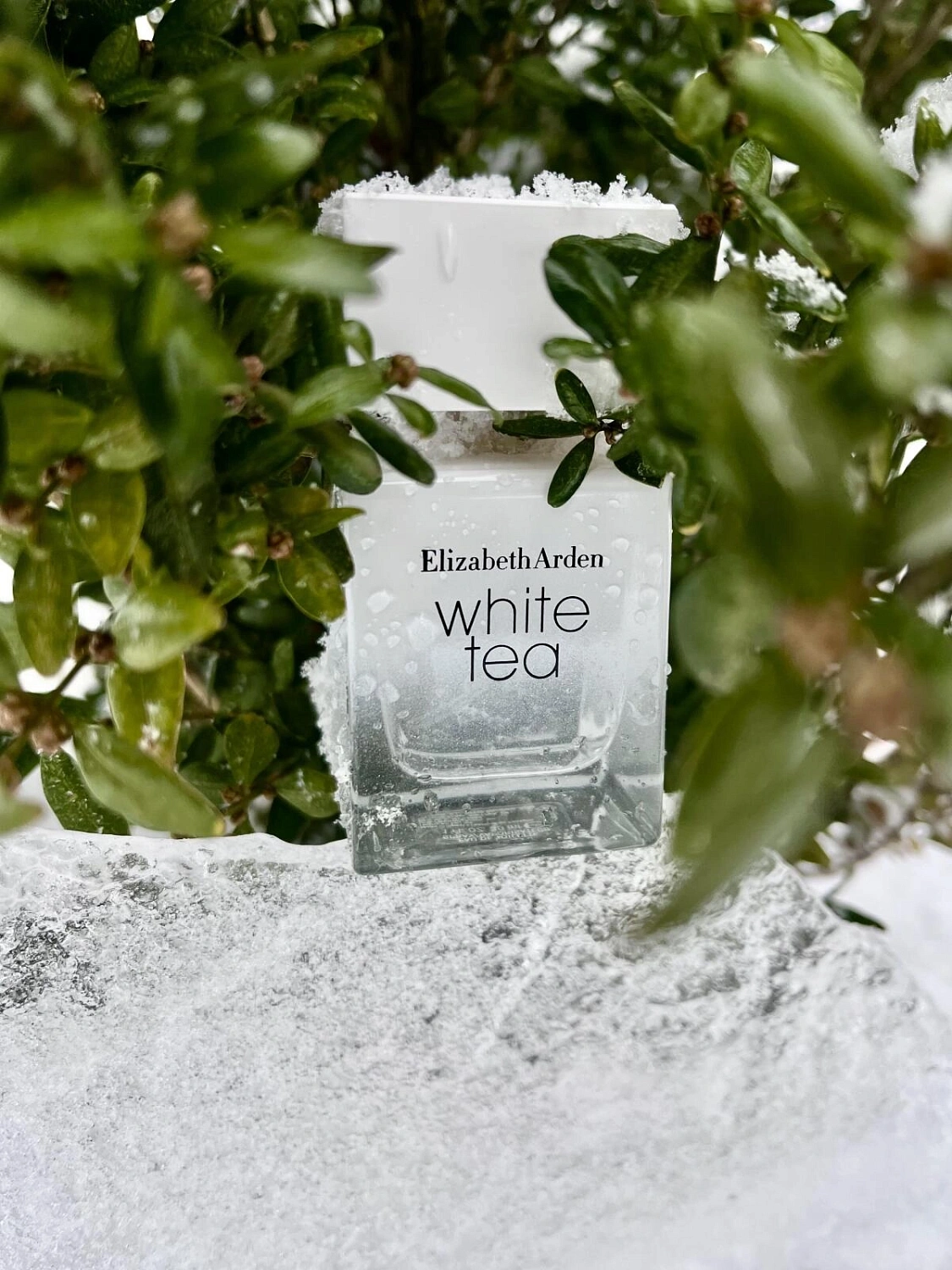 Elizabeth Arden White Tea