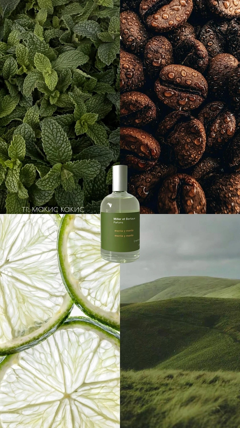 Miller et Bertaux Menta y Menta