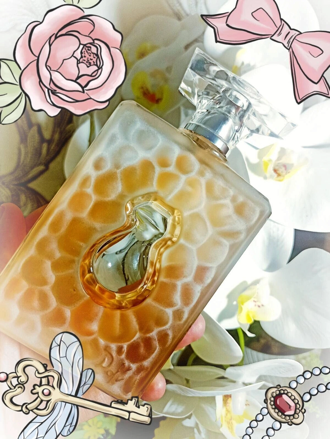 Salvador Dali DaliA More