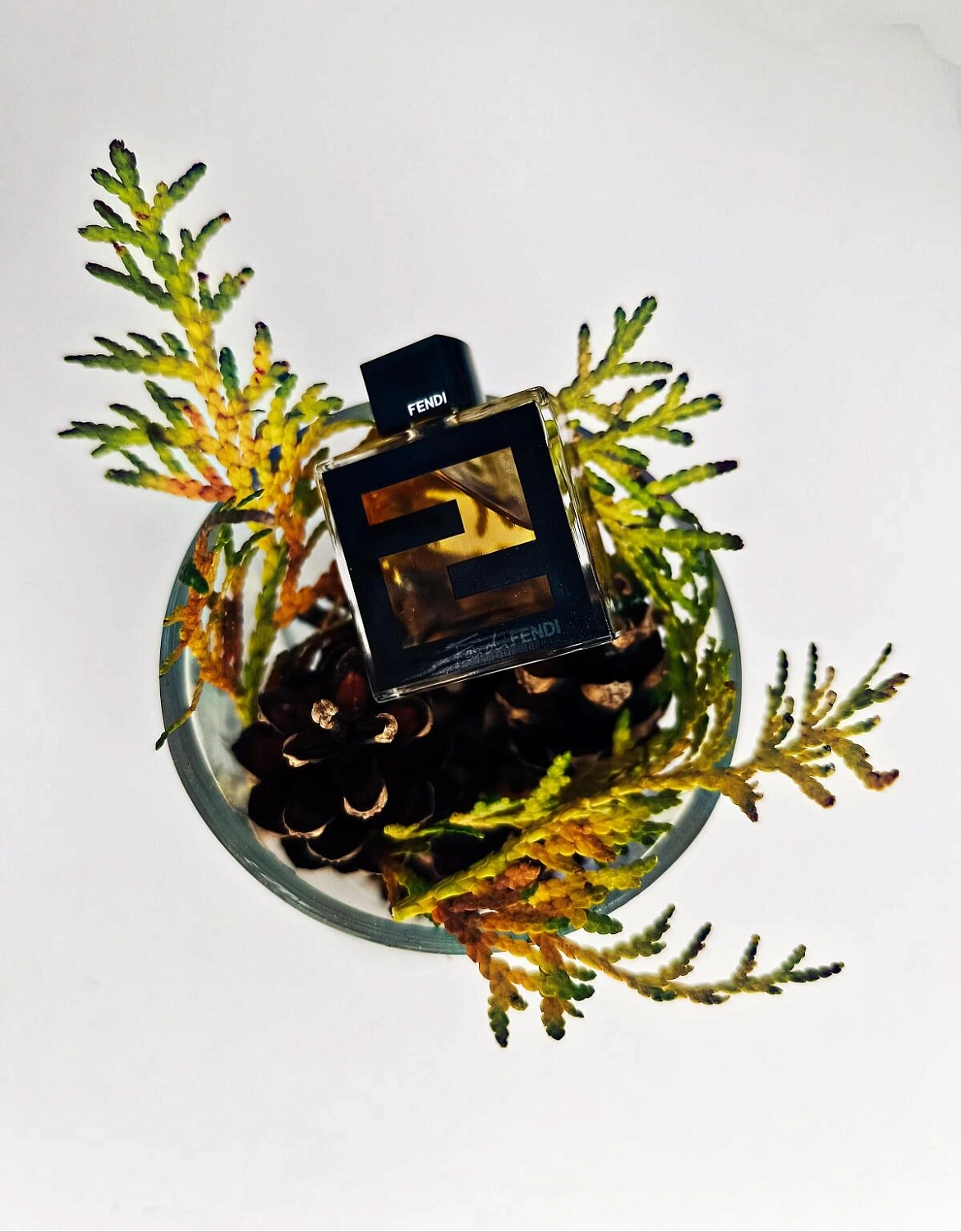 Fan di Fendi pour Homme