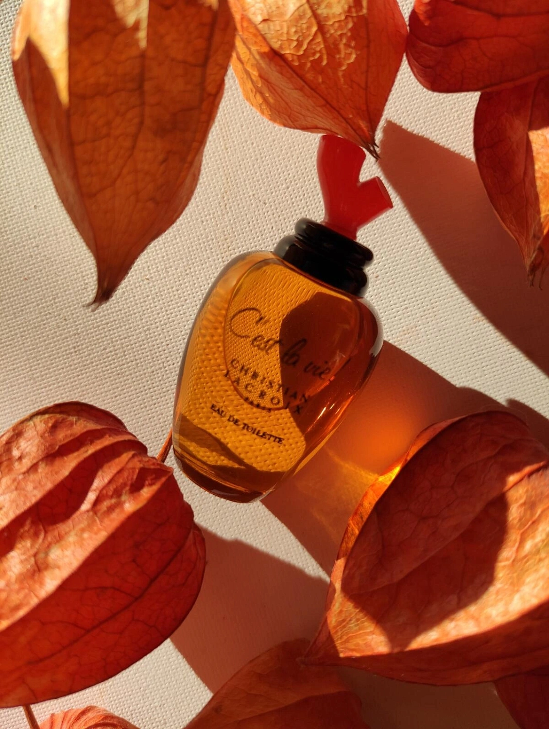 Christian Lacroix C`est La Vie