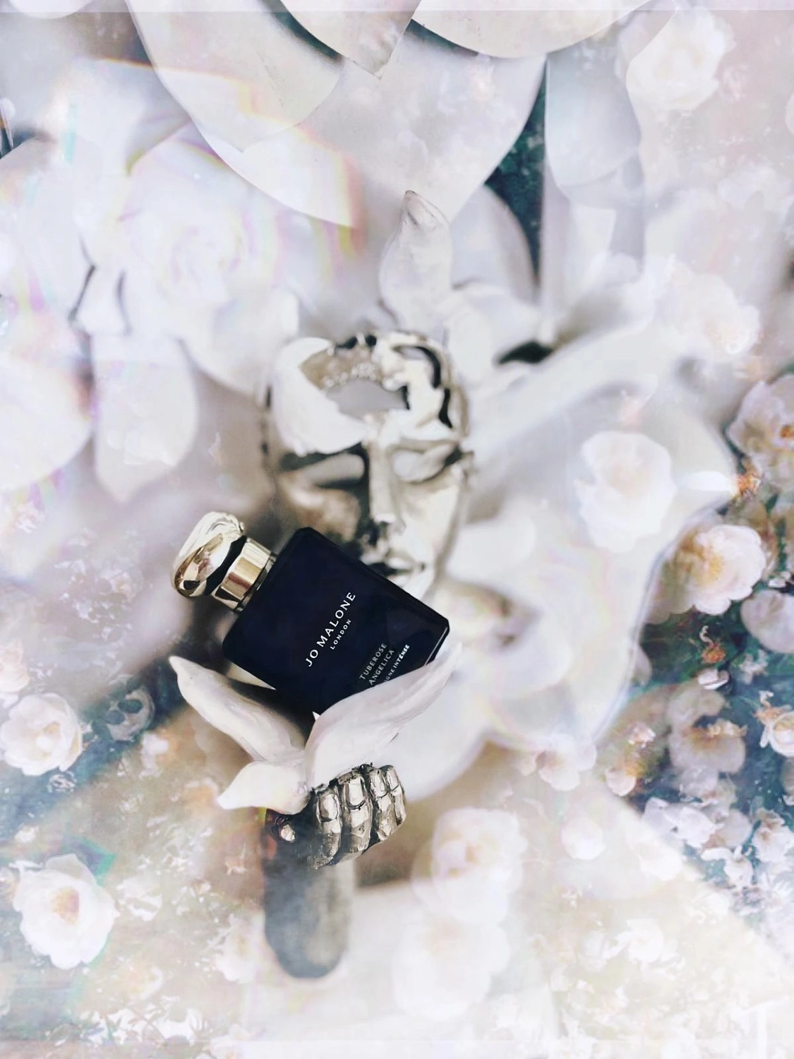Jo Malone Tuberose Angelica Cologne Intense Jo Malone Tuberose Angelica Cologne Intense