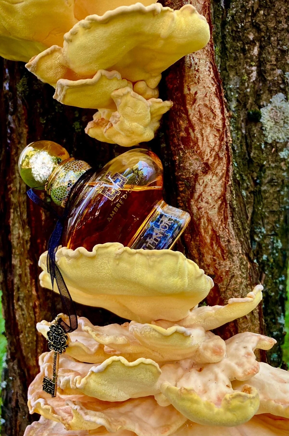 Eisenberg Ambre D'Orient Secret V Eisenberg Ambre D'Orient Secret V