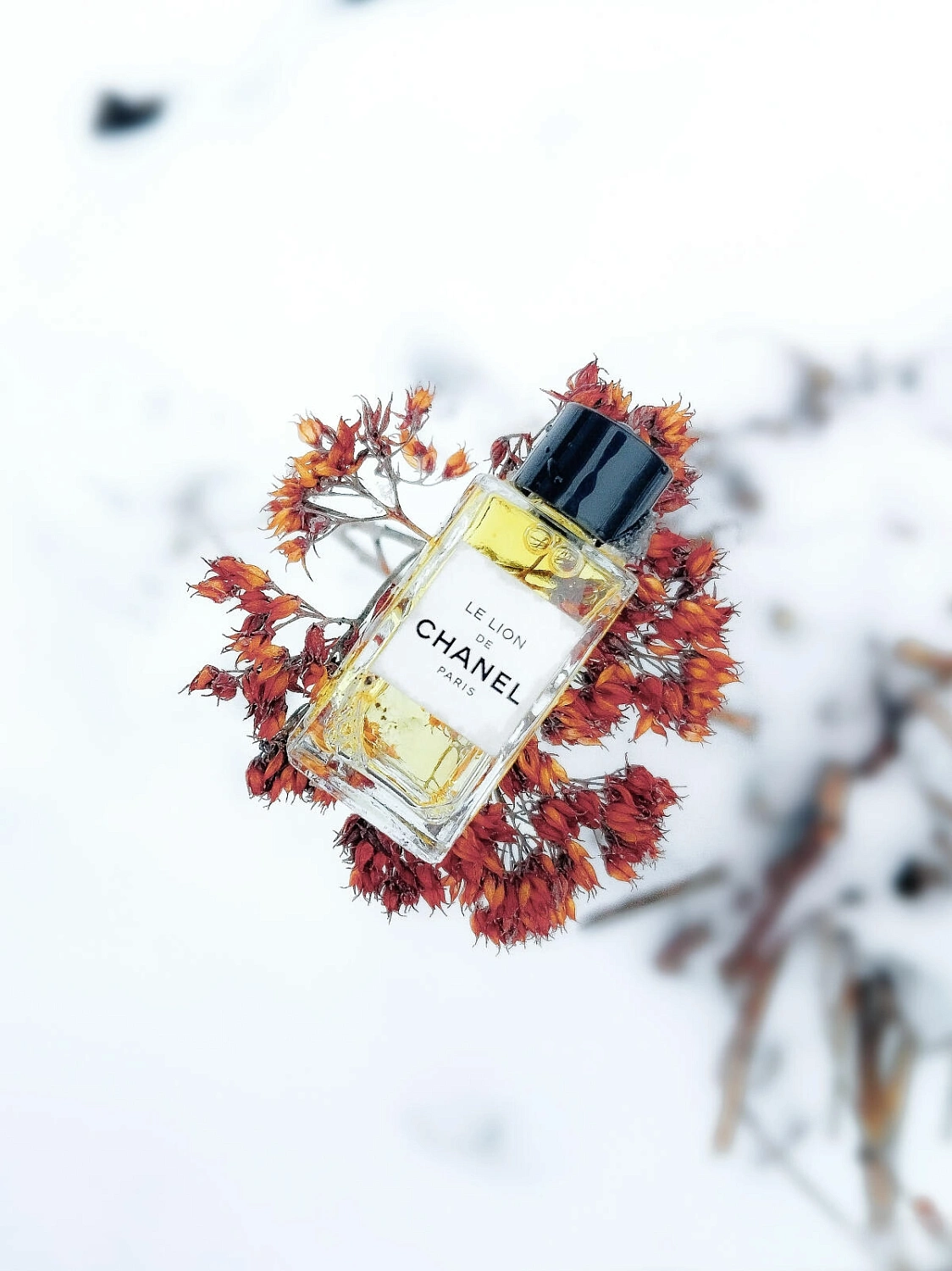 Le Lion de Chanel