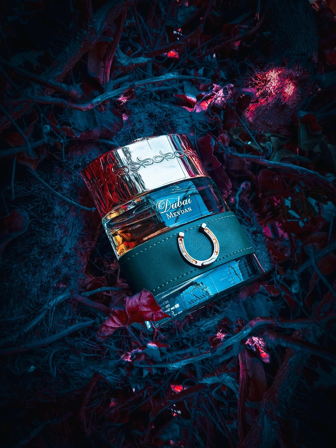 The Spirit of Dubai Meydan