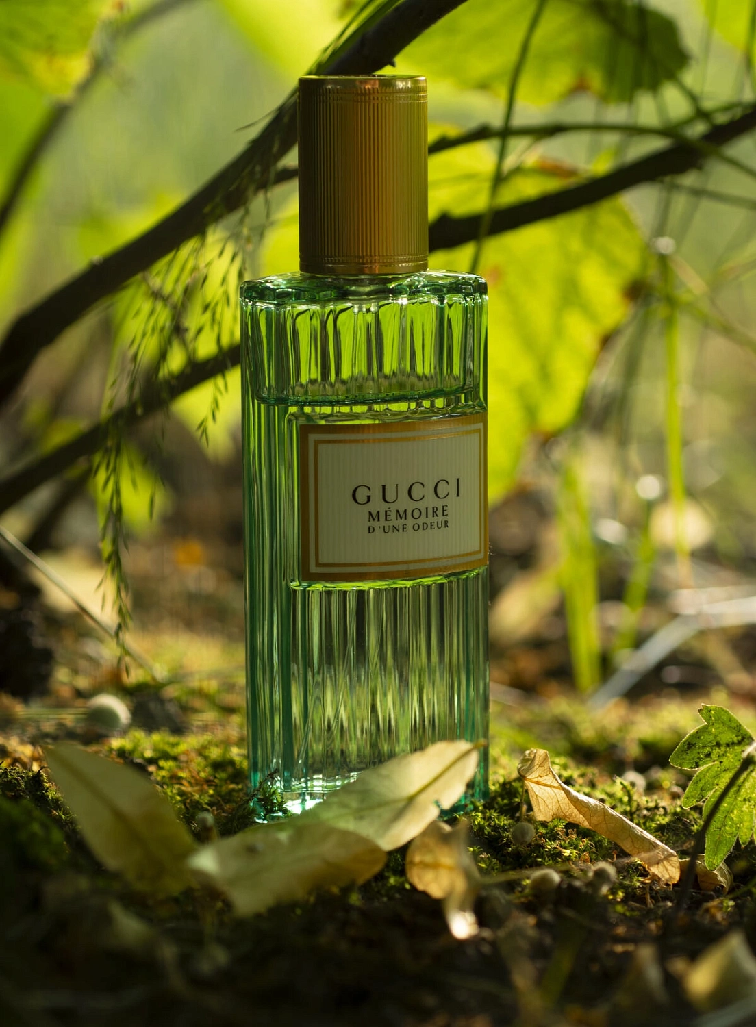 Gucci Memoire d'une Odeur