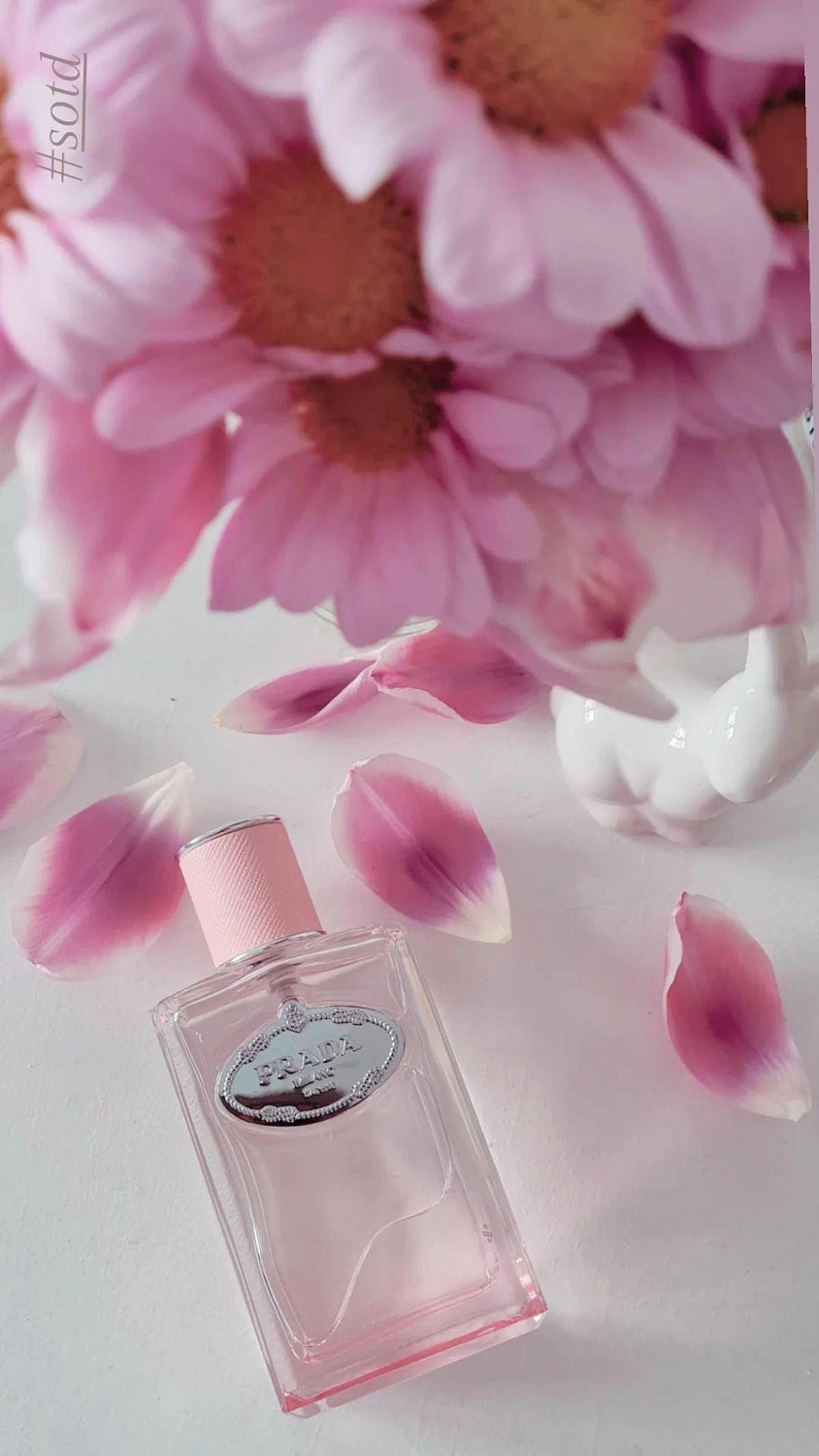 Prada Infusion de Rose (2017)
