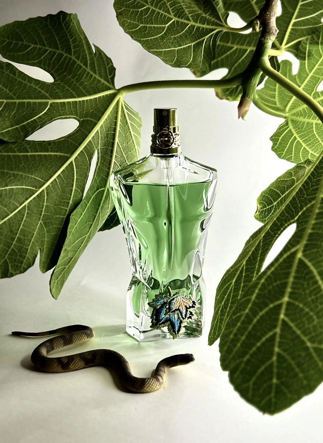 Jean Paul Gaultier Le Beau Paradise Garden Jean Paul Gaultier Le Beau Paradise Garden