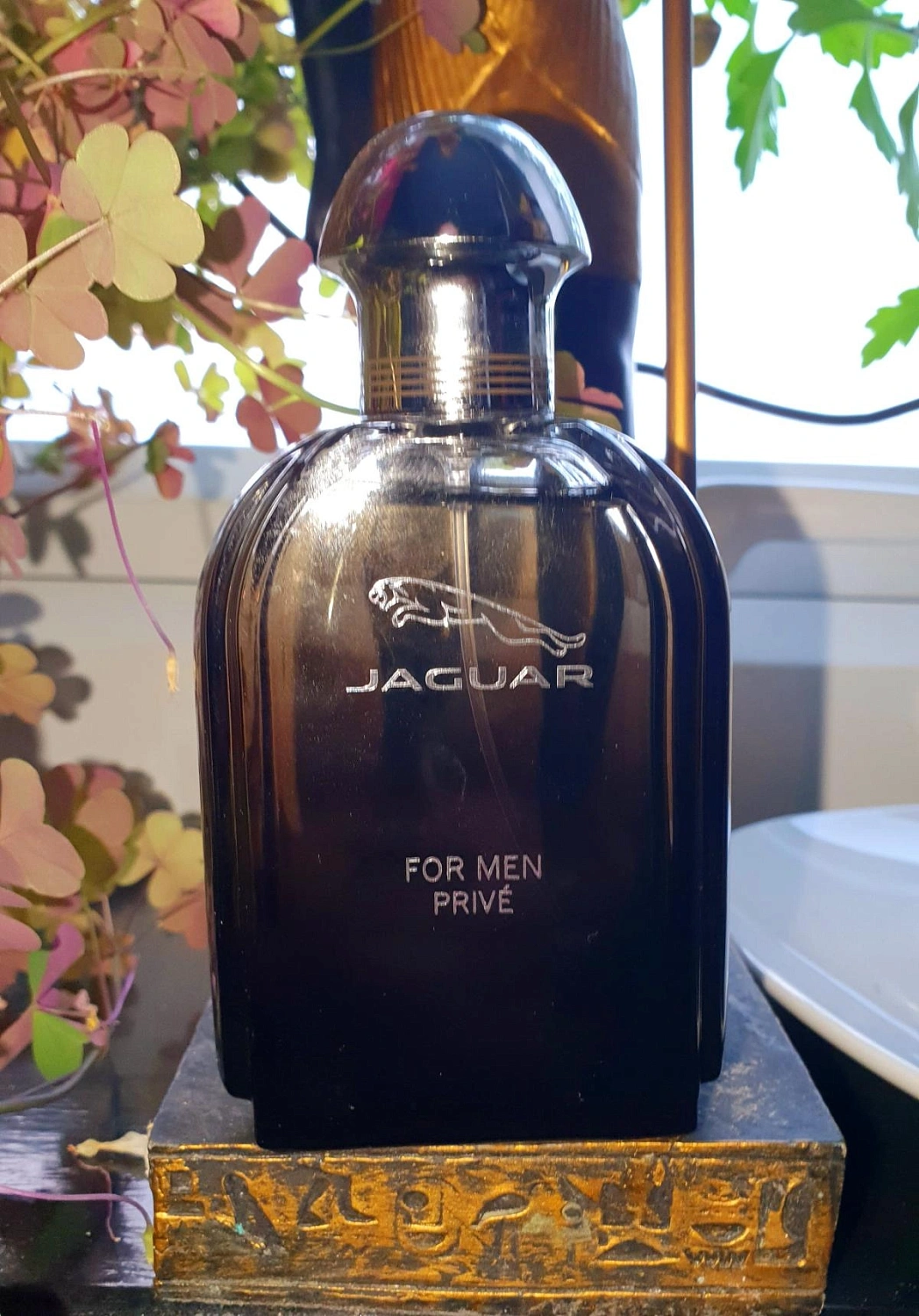 Jaguar For Men Privé