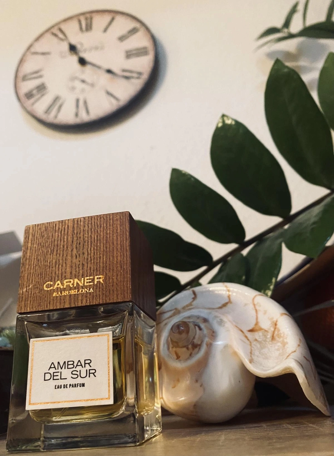 Carner Barcelona Ambar Del Sur