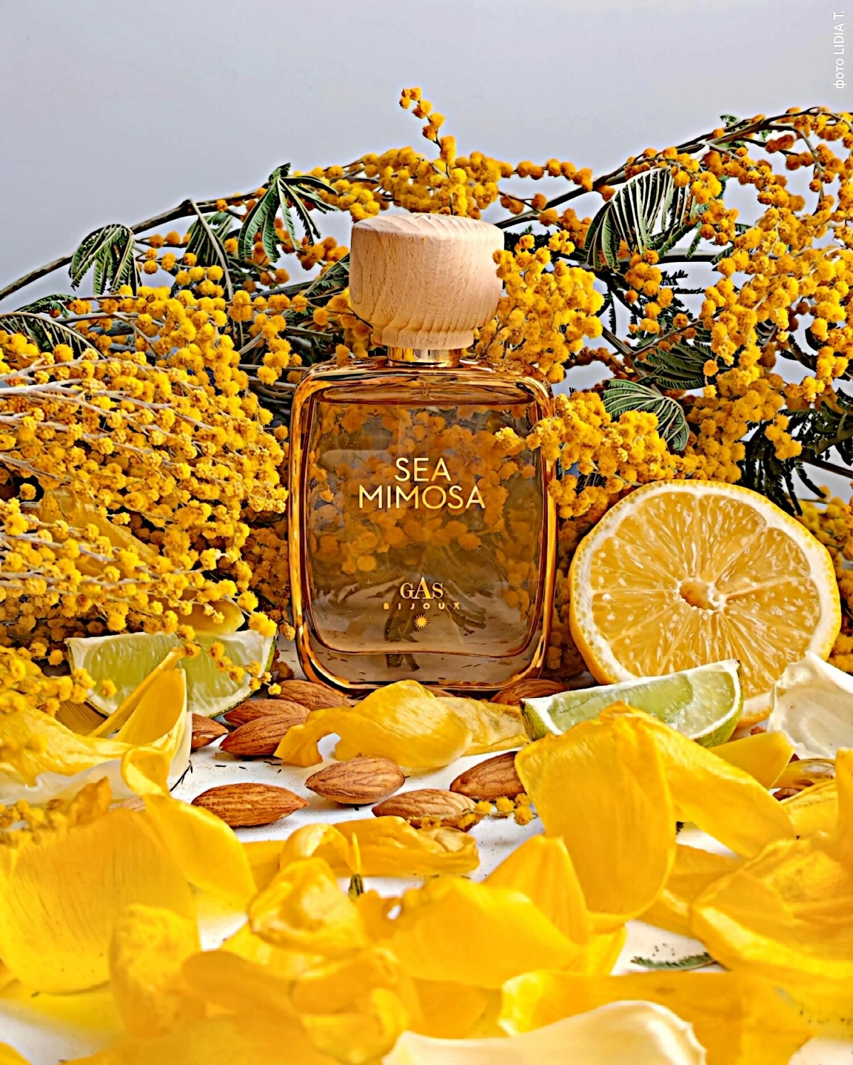 Gas Bijoux Sea Mimosa