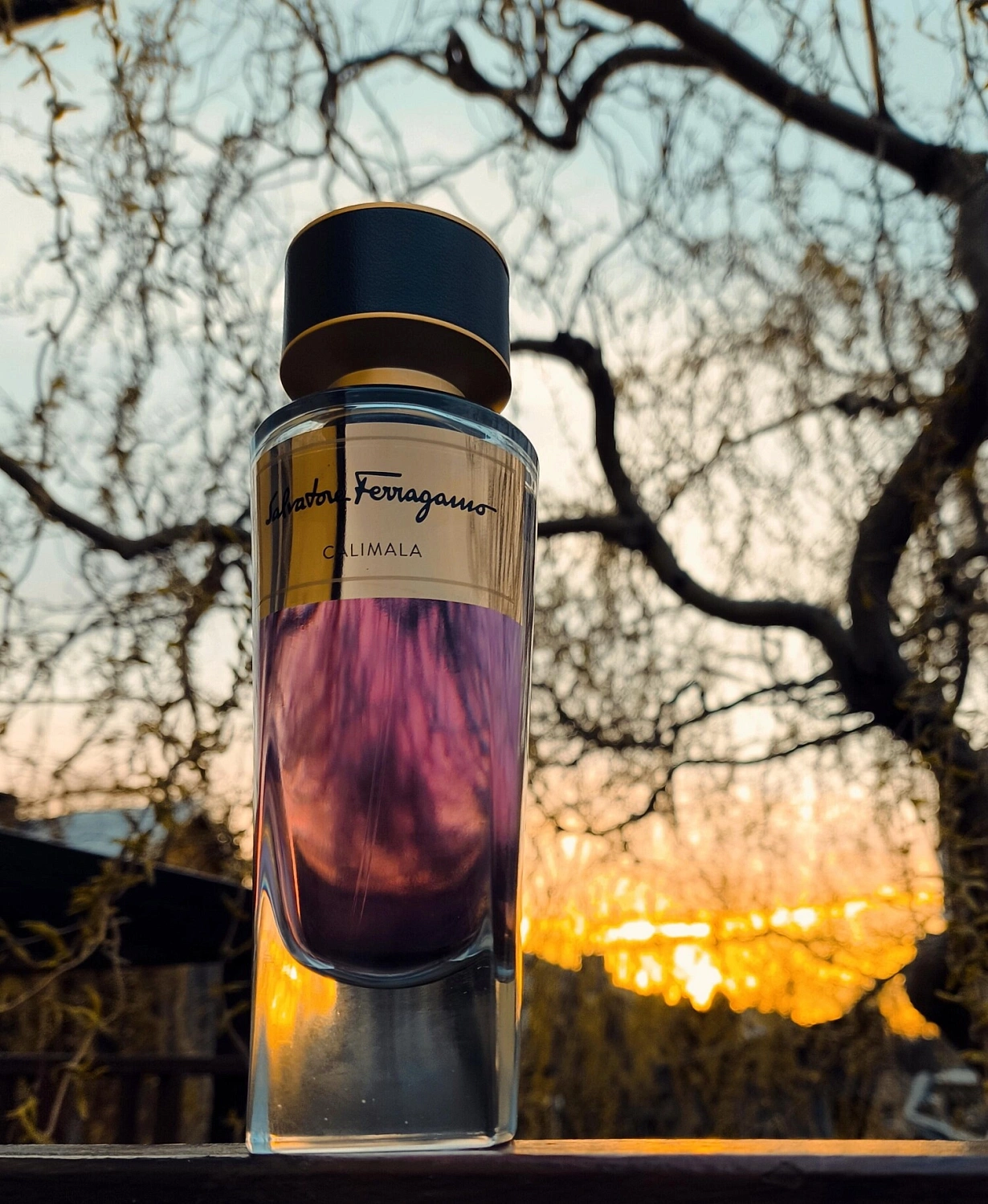 Salvatore Ferragamo Calimala
