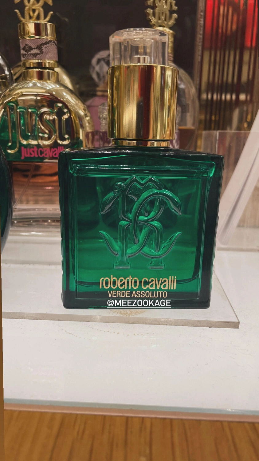 Roberto Cavalli Uomo Verde Assoluto