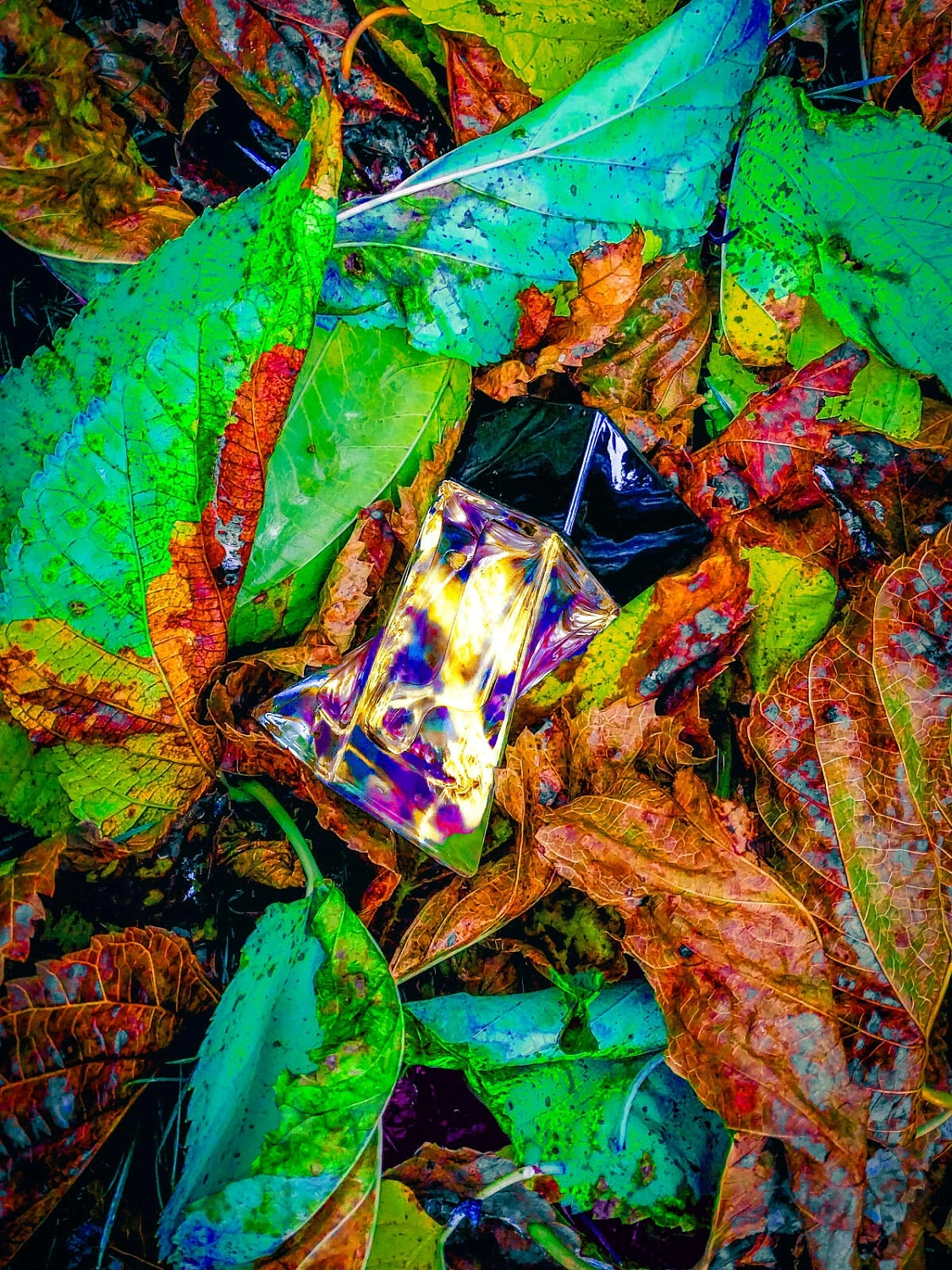 Lancome Hypnose Homme