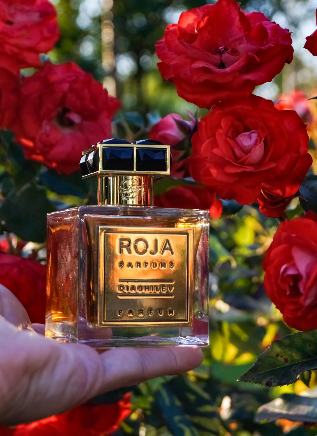Roja Parfums Diaghilev