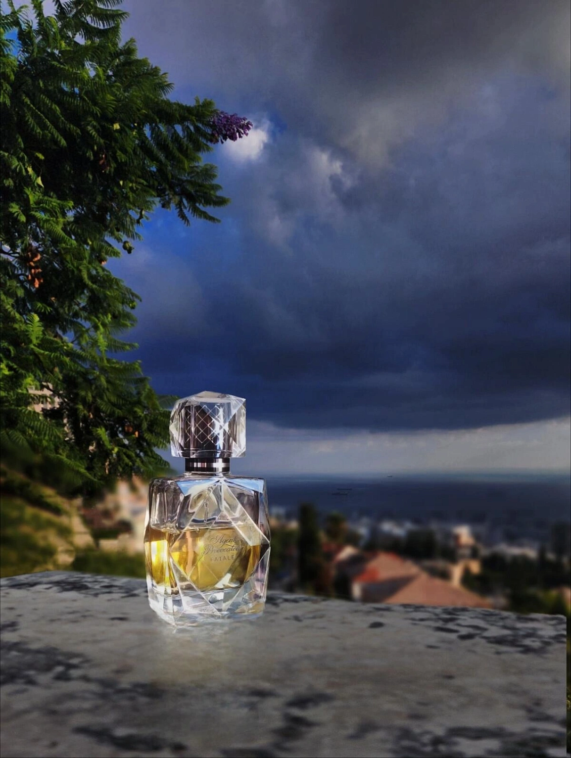 Agent Provocateur Fatale