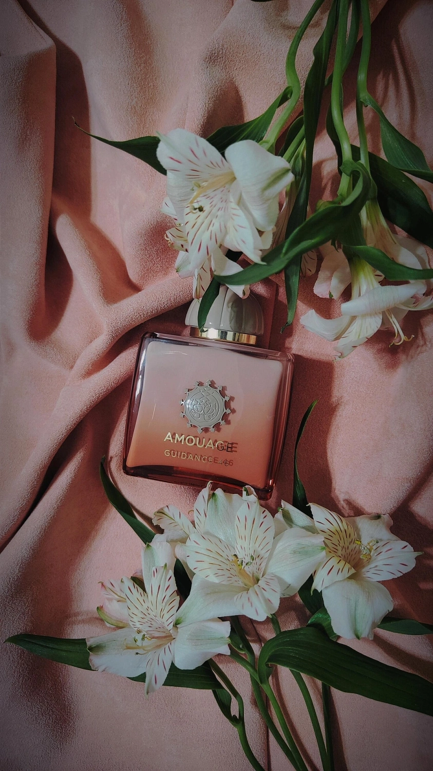 Amouage Guidance 46