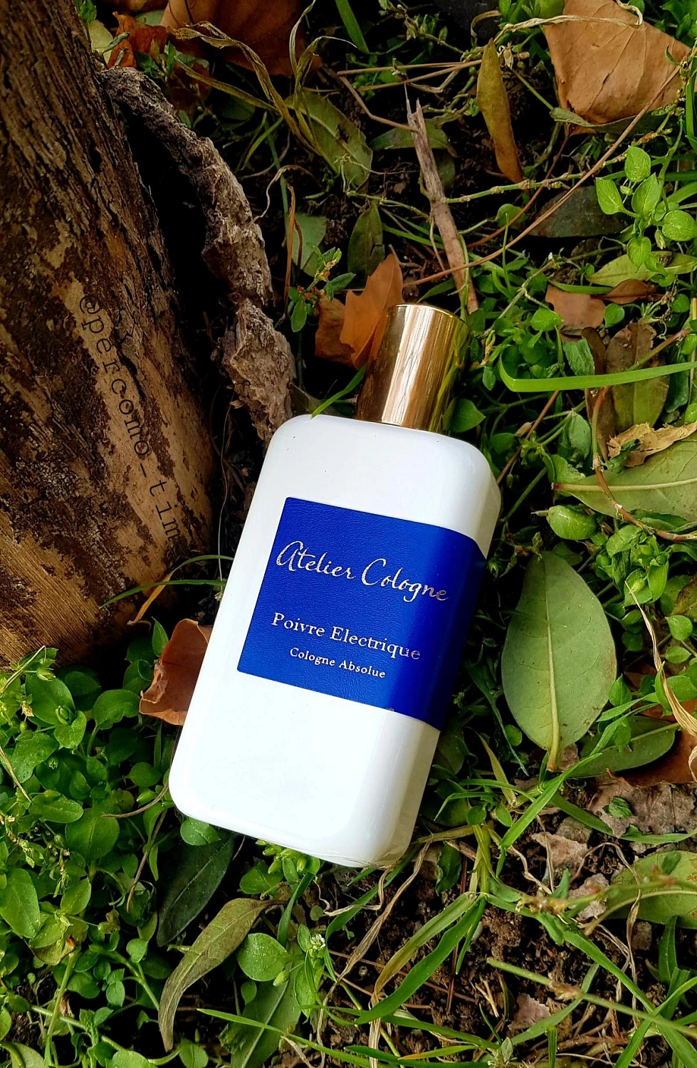 Atelier Cologne Poivre Electrique