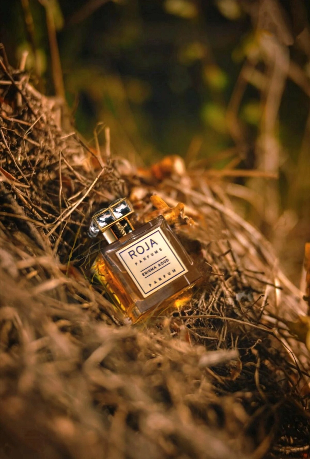 Roja Parfums Enigma Aoud