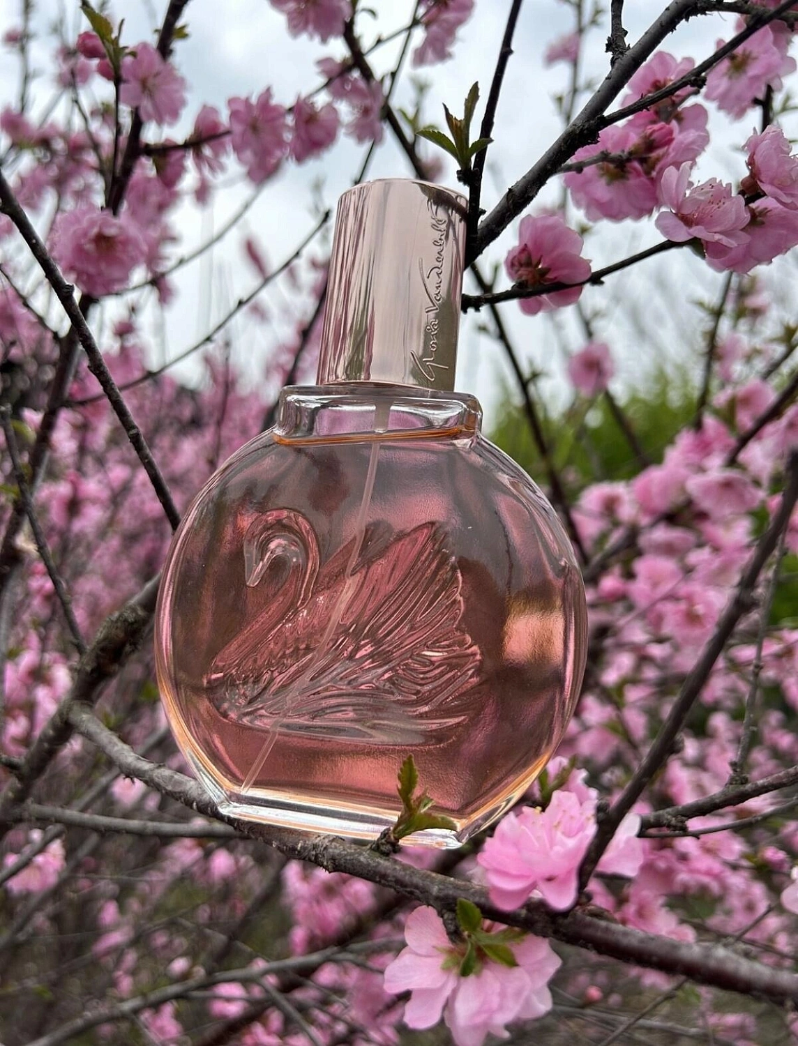 Gloria Vanderbilt Miss Vanderbilt