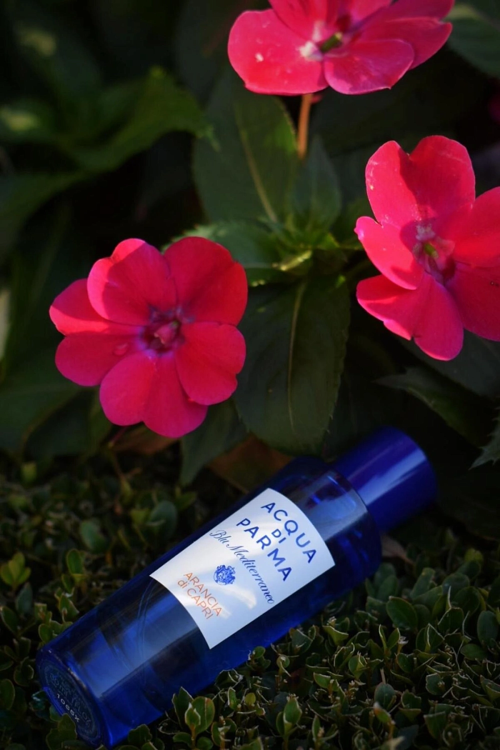 Acqua di Parma Arancia di Capri