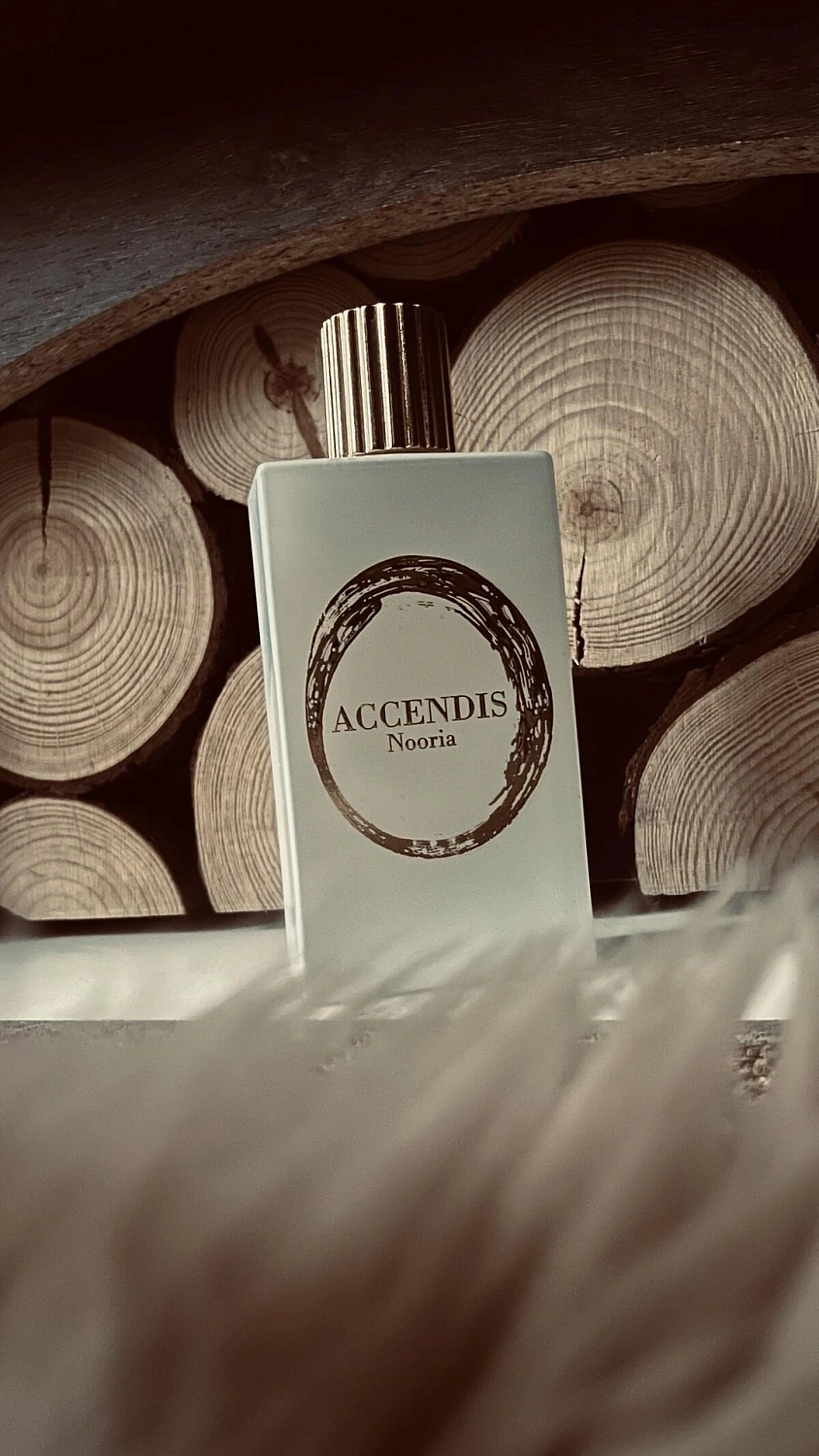 Accendis Nooria Accendis Nooria