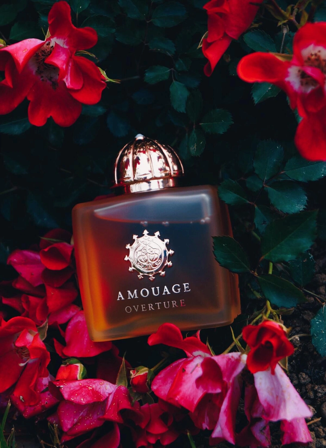 Amouage Overture Women Amouage Overture Women