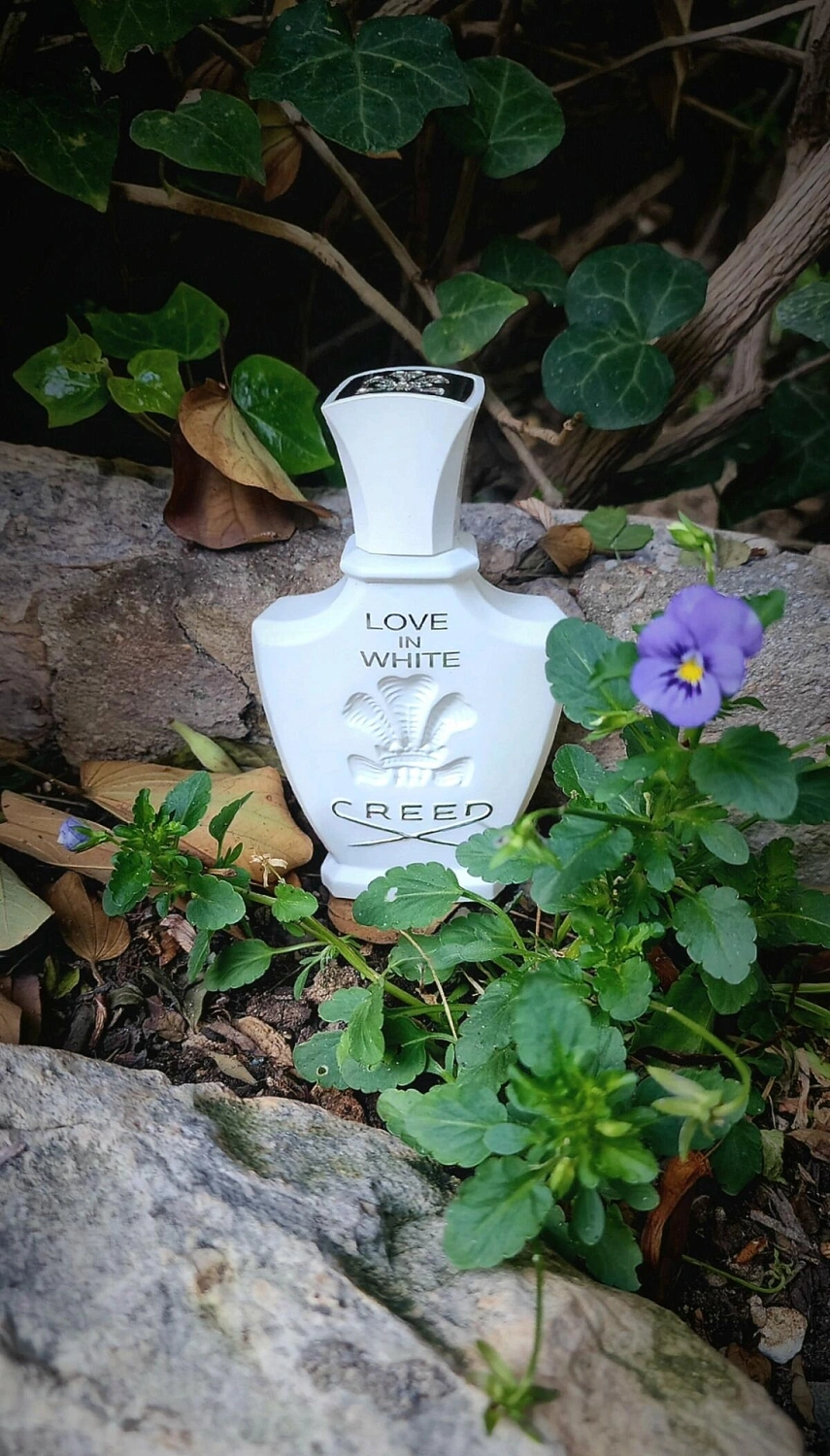 Creed Love in White