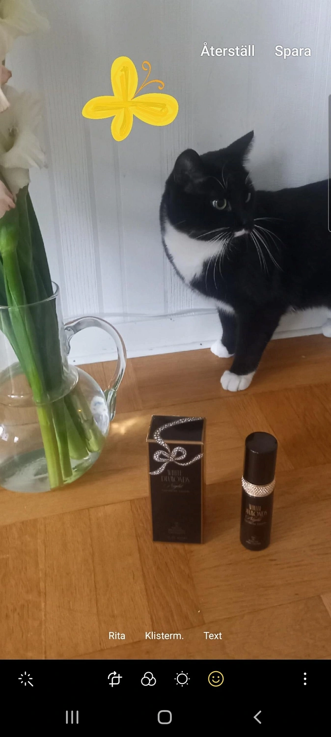 Elizabeth Taylor White Diamonds Night