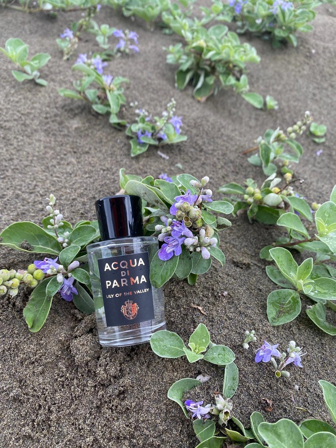 Acqua di Parma Lily of the Valley Acqua di Parma Lily of the Valley