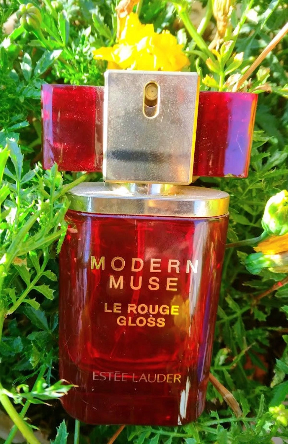 Estee Lauder Modern Muse Le Rouge Gloss