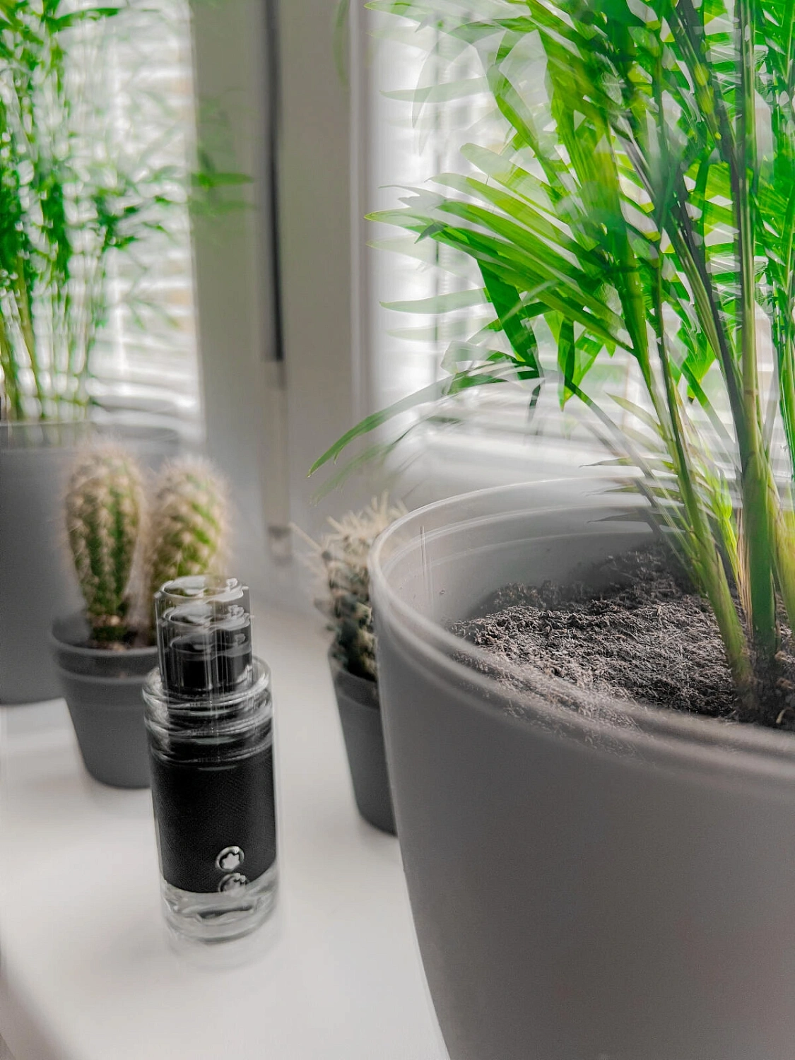 Montblanc Explorer Montblanc Explorer