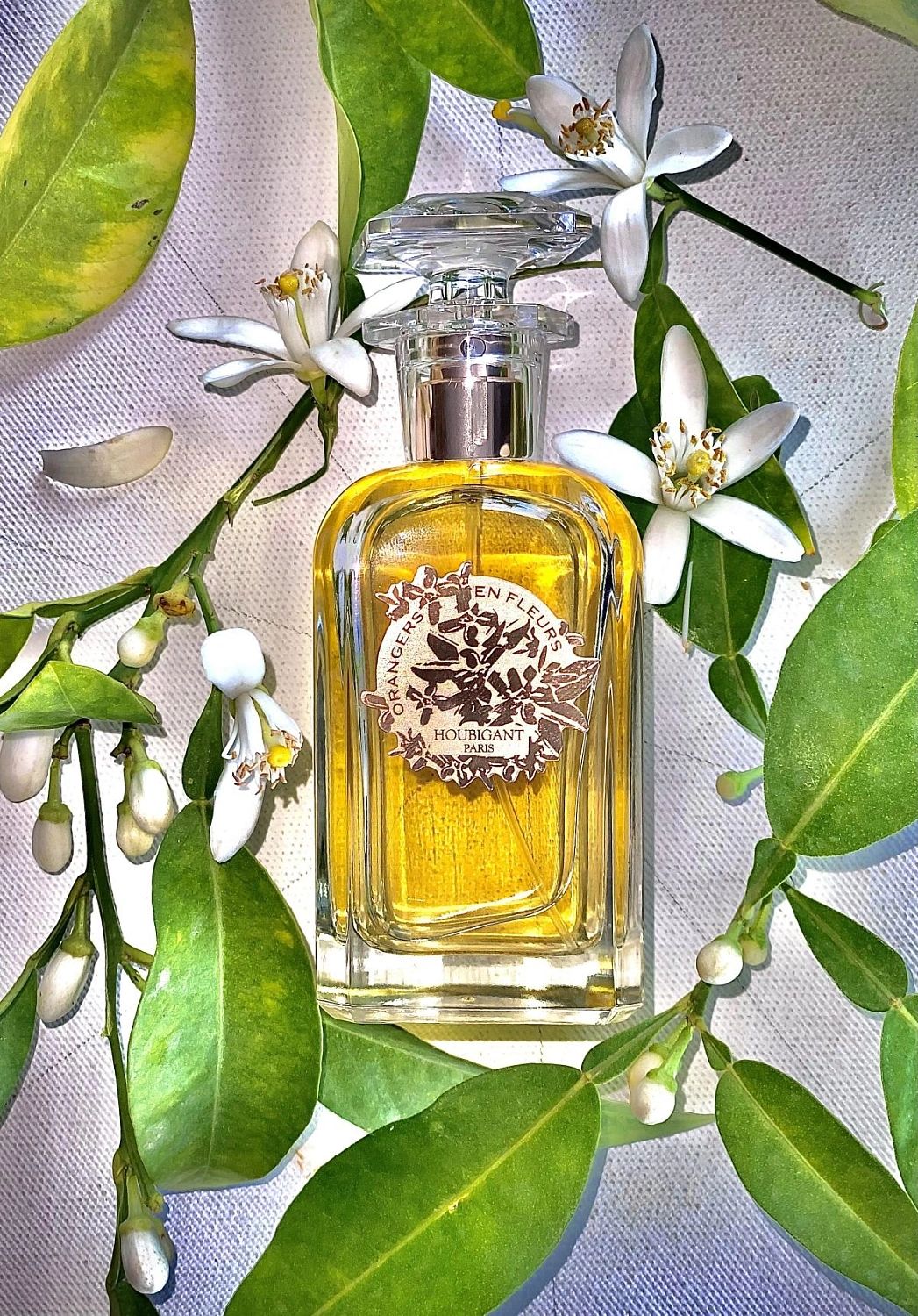 Houbigant Orangers en Fleurs