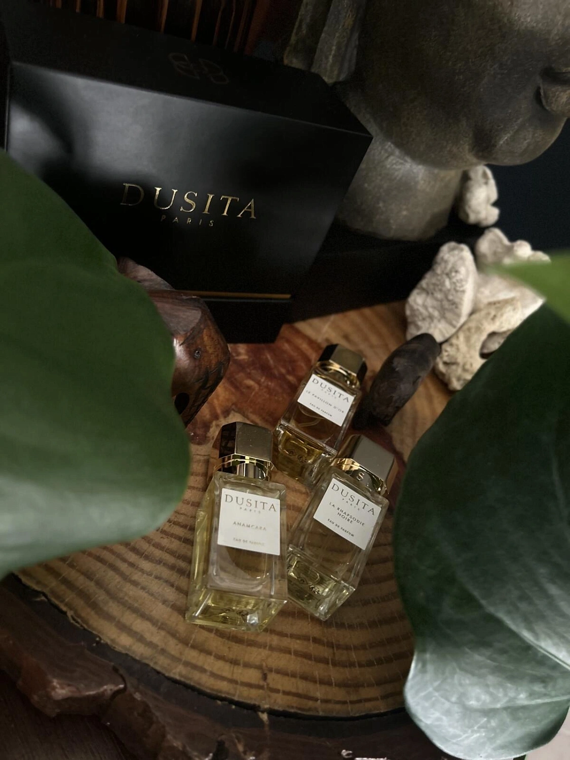 Dusita La Rhapsodie Noire