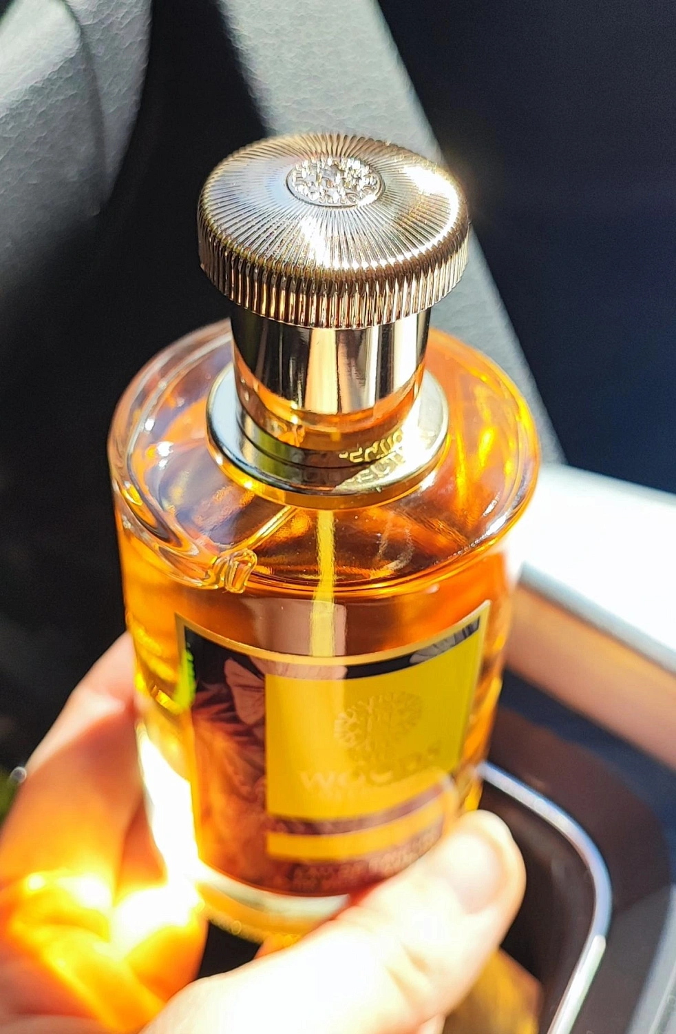 The Woods Collection Panorama