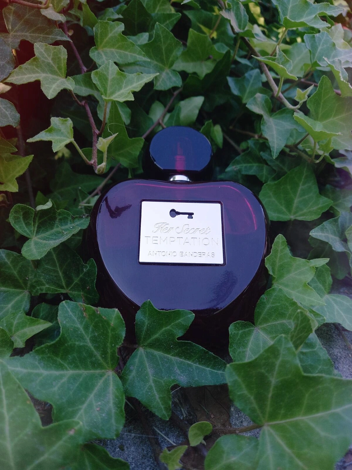 Antonio Banderas Her Secret Temptation