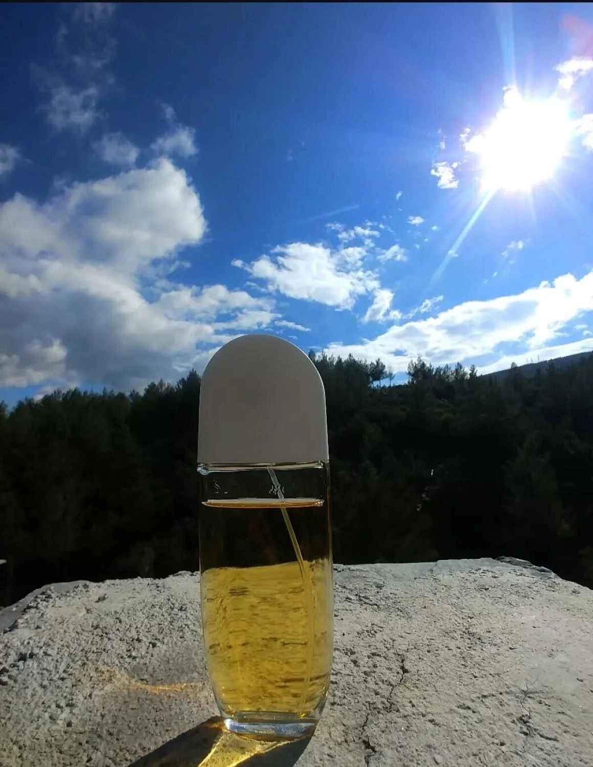 Elizabeth Arden Sunflowers