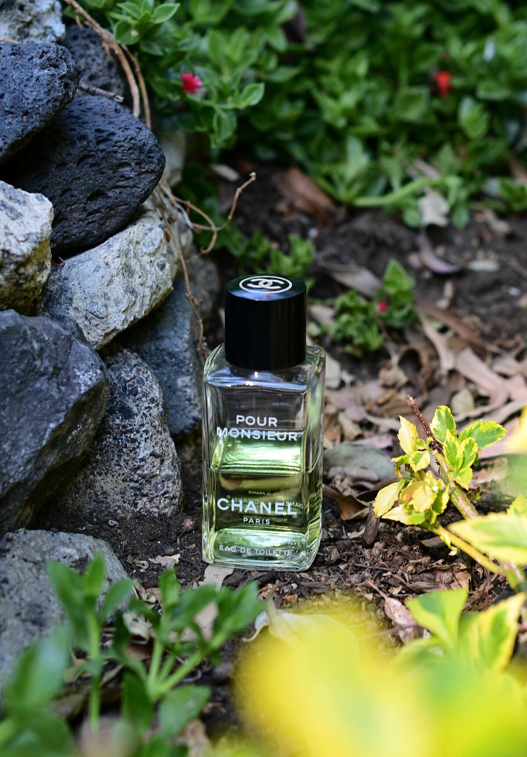 Chanel Pour Monsieur