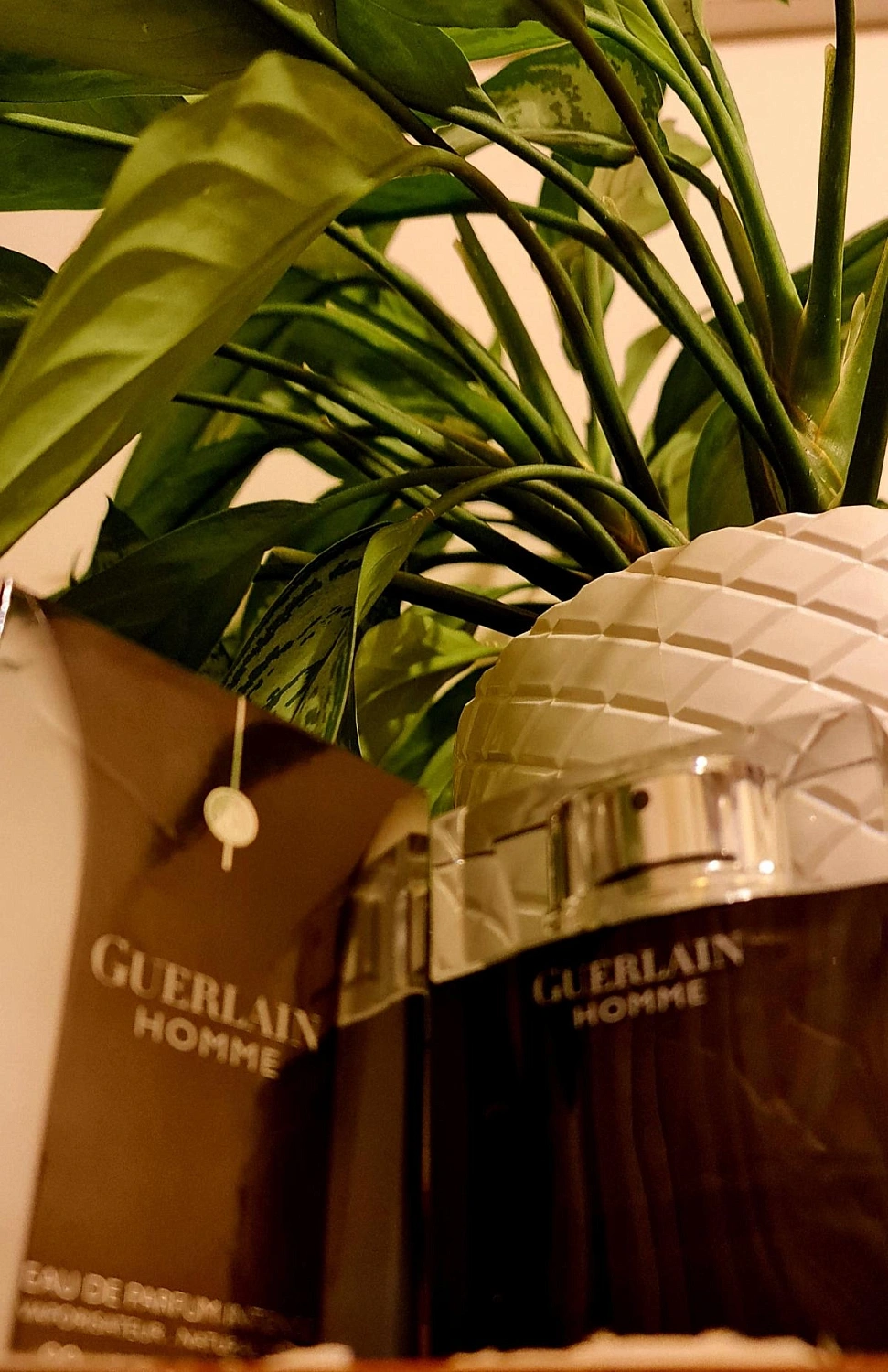 Guerlain Homme Intense