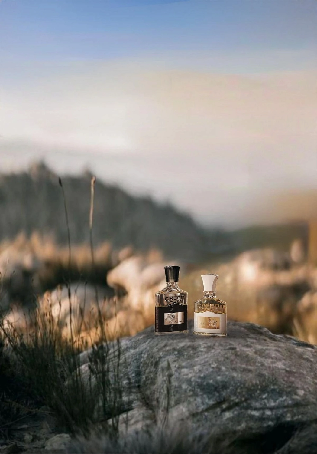 Creed Aventus for Her