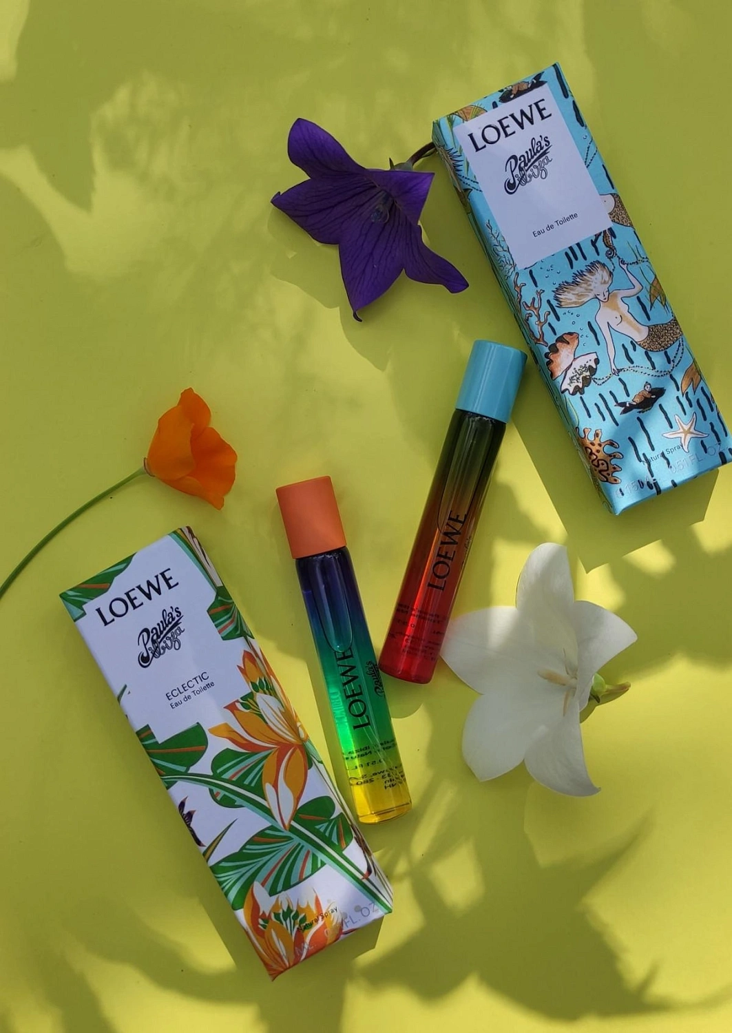 Loewe Paula's Ibiza Eclectic
