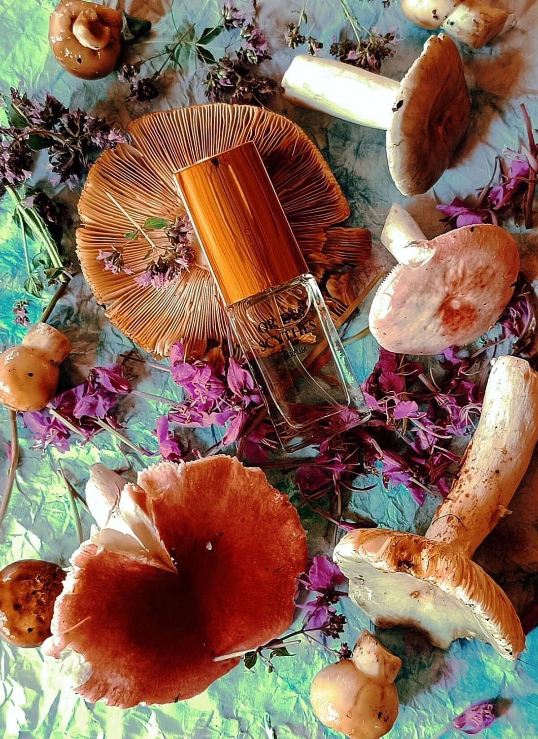 Novaya Zarya (Новая Заря) Злато Скифов (Or Des Scythes)