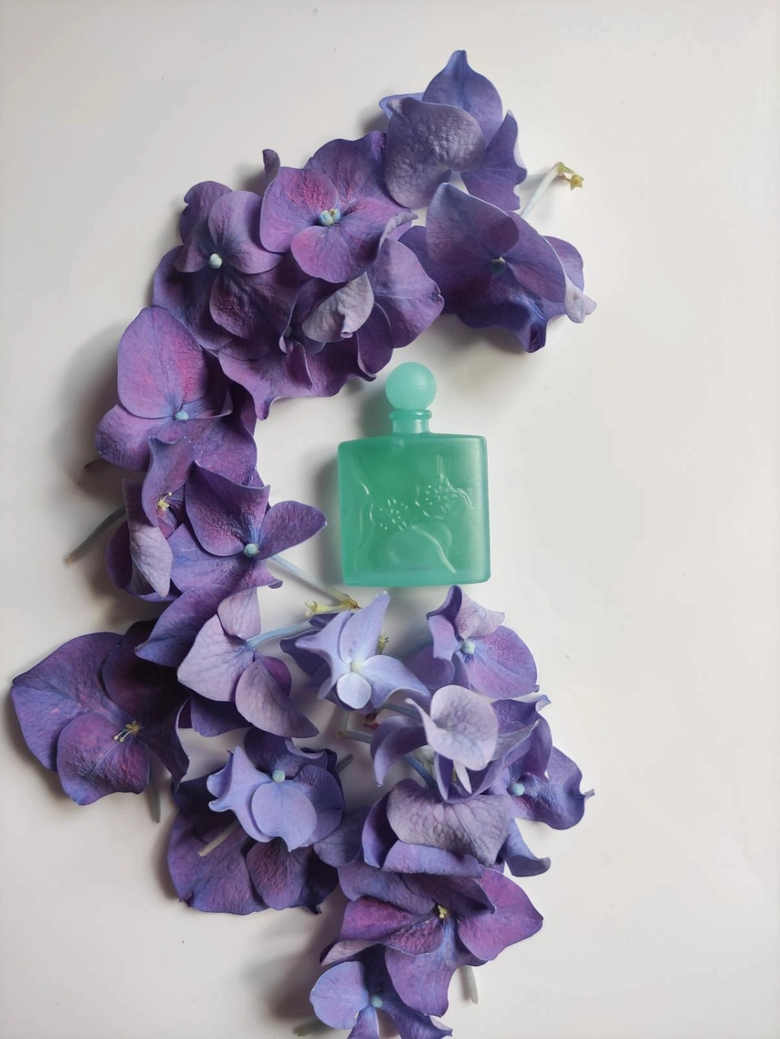 Jean Charles Brosseau Fleurs d'Ombre Ombre Bleue