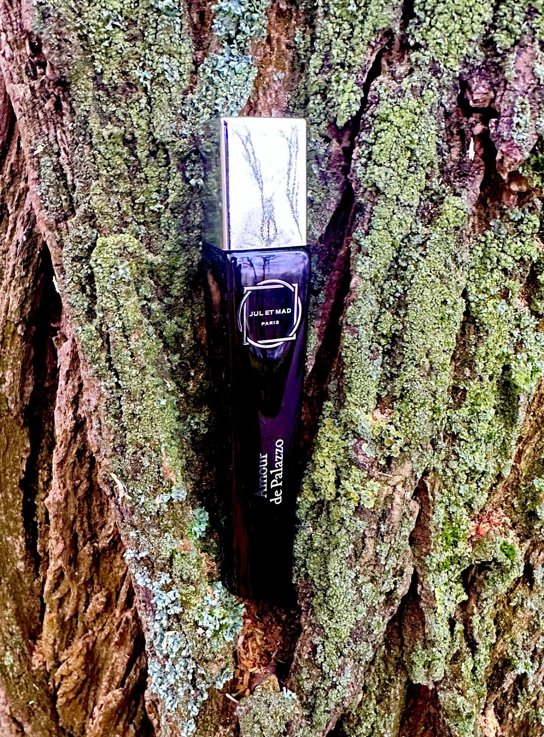 Jul et Mad Amour de Palazzo