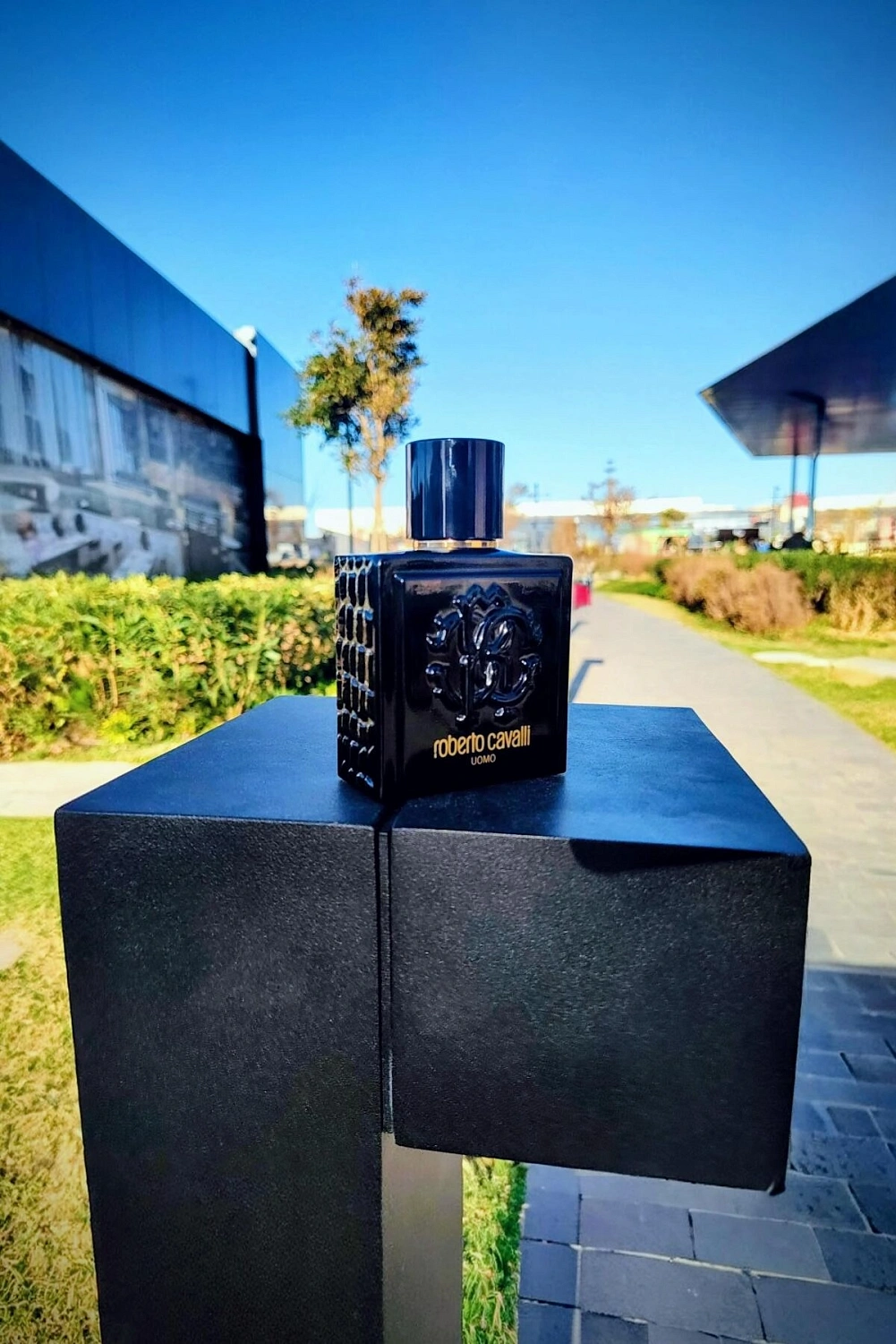 Roberto Cavalli Uomo