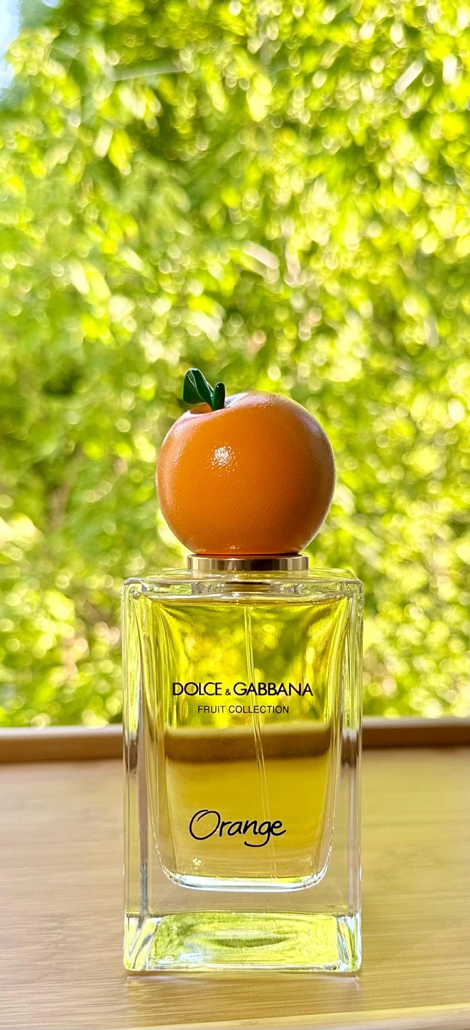 DOLCE & GABBANA Orange