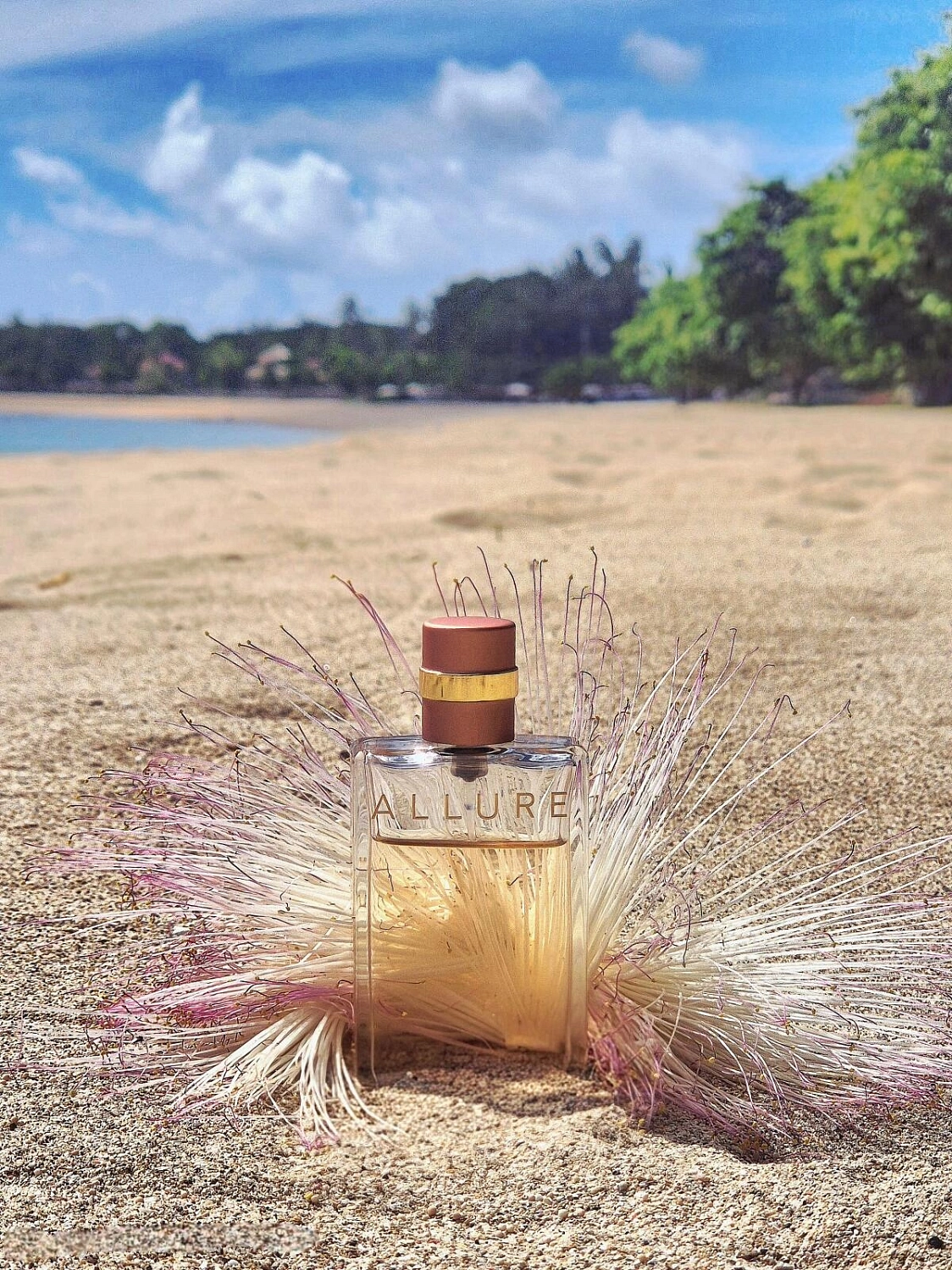 Chanel Allure Eau de Parfum